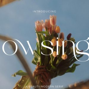 Bowsinge - A Beauty Modern Serif