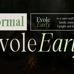 Evolve Early Normal Font