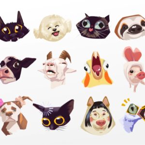 Funny Animals Set