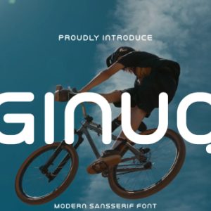 Ginuq Modern Sans Serif Font
