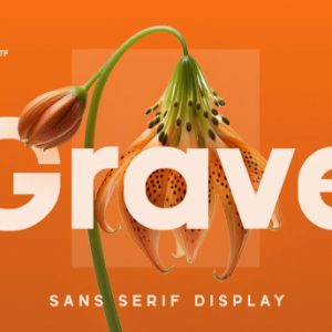 Grave Modern Sans Serif Font