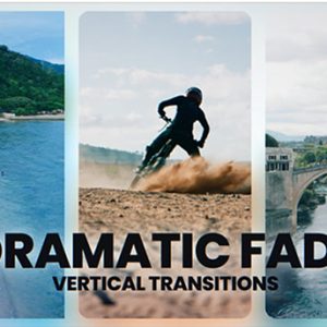 Light Transitions