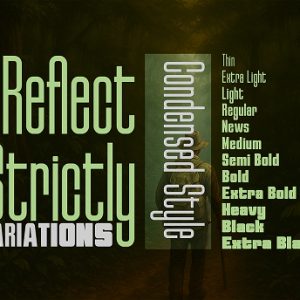 Reflect of Strictly Condensed