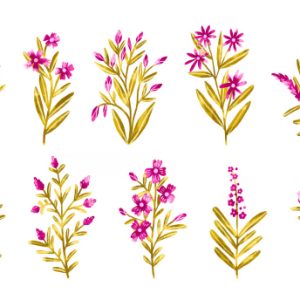 Summer Field Pink Flowers