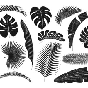 Tropical Leaves Set
